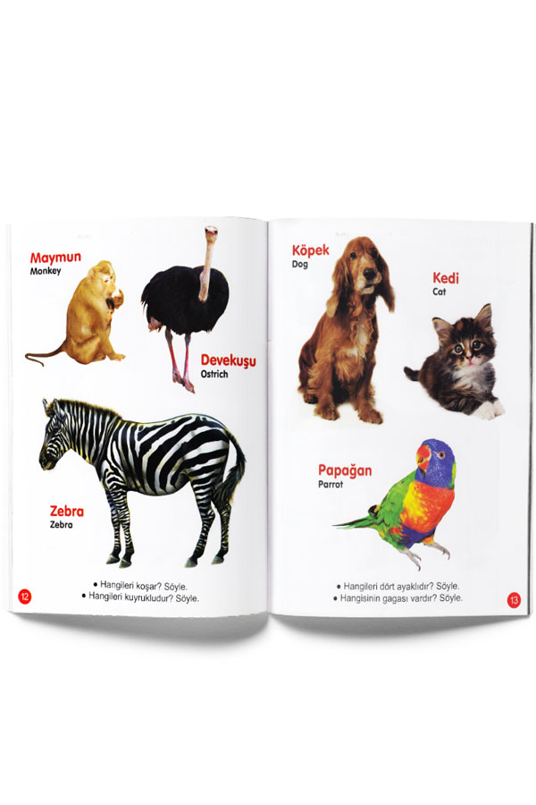 Benim Renkli Kitaplarım Hayvanlar - Parıltı Yayınları