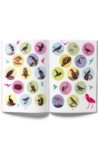 Doğa Çıkartmaları - Muhteşem Kuşlar - Thumbnail