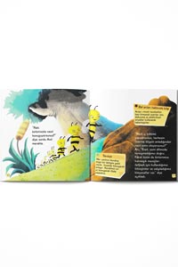Doğadan Öğreniyorum Set - 10 Kitap - Thumbnail
