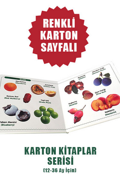 Meyveler Sebzeler Besinler - Eğitici Öğretici Karton Kitaplar
