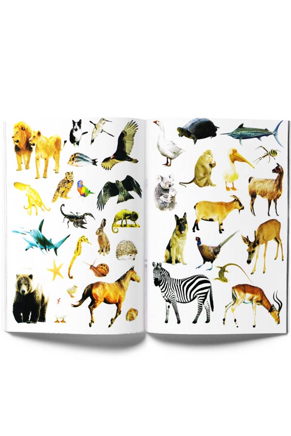 Renkli ve Eğlenceli Çıkartmalar Hayvanlar (Poster Hediyeli) - Parıltı Yayınları