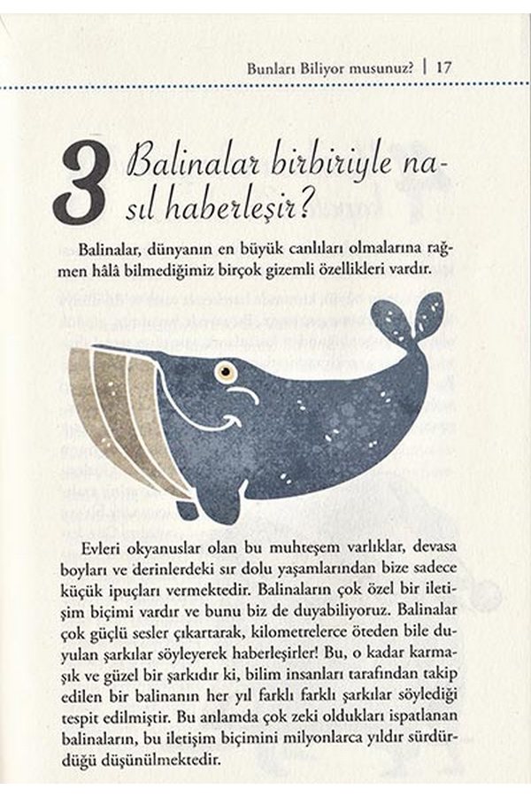 super bilgi soru ve cevaplarla bunlari biliyormusunuz 6 10 yas ilkogretim cocuk kitaplari cocuk gezegeni nick thoma