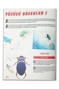 Yaşam Dolu Böcekler ve Bilinmeyen Özellikleri - Thumbnail